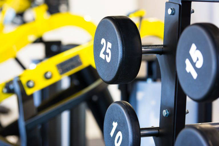 003 Flex Fitness HNBA 020 768x512