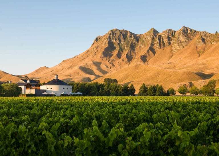 Craggy best sale range winery