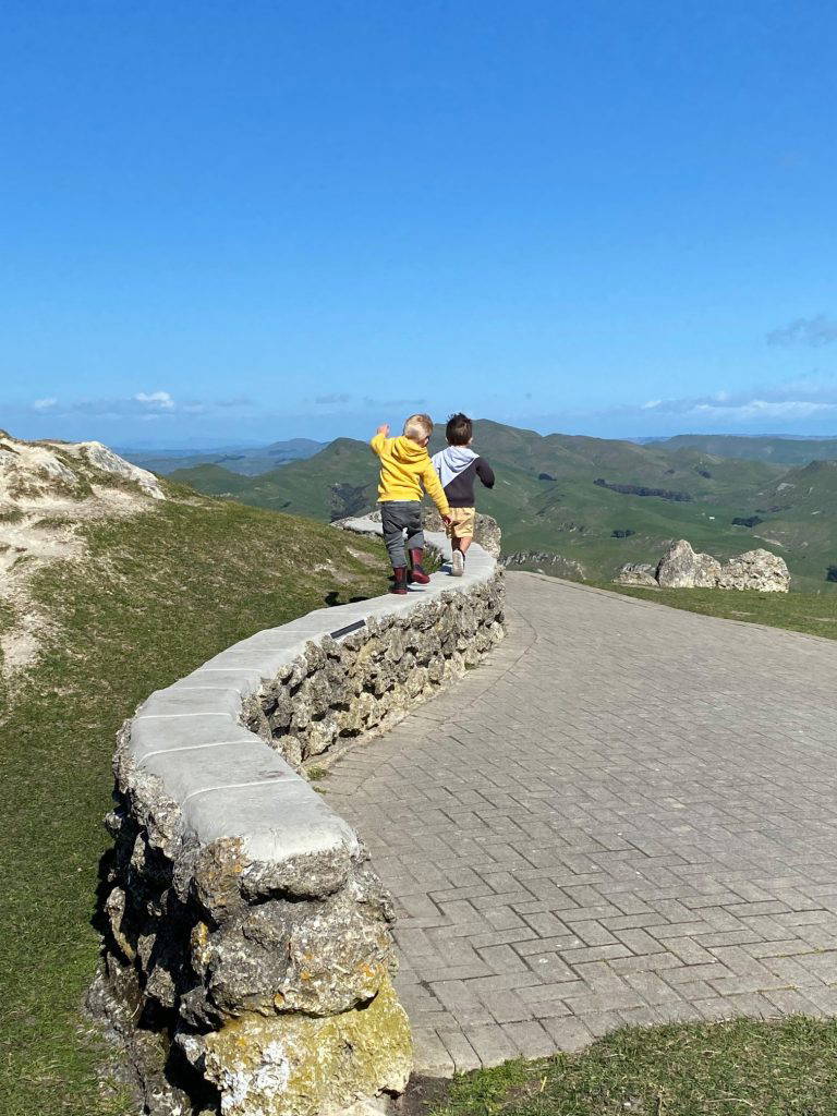 119231384 10158696980543670 8982224079678888020 o 768x1024