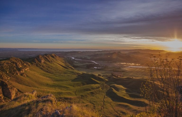 resized image Promo 768x495