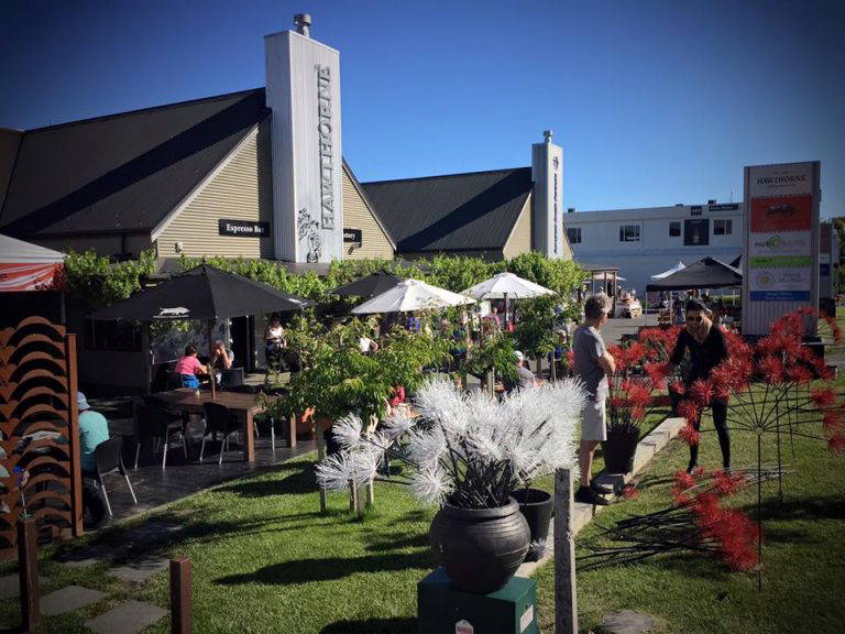 12313998 1162315937133848 8997870764859543031 n 1 768x576