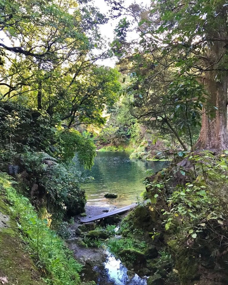 202390743 4036890413059765 3251034355750277972 n 768x960