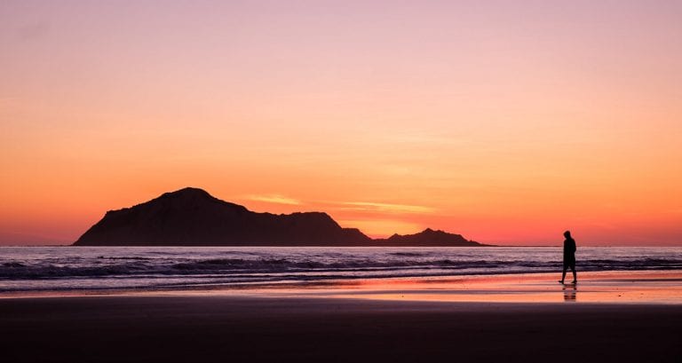 46133587414 0101130b21 b 768x409