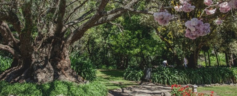 HBT SeeDo Recreation Gardens KeriungaGardens 1600x650 1 768x312