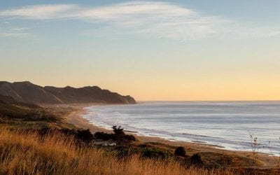 Six Reasons to Spend Summer in Havelock North