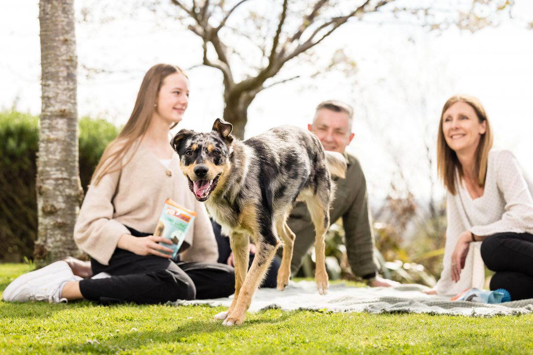 Natural Pet Food Group Havelock North Hawke's Bay