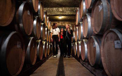 A taste of the good life – touring Havelock North’s Cellar Doors