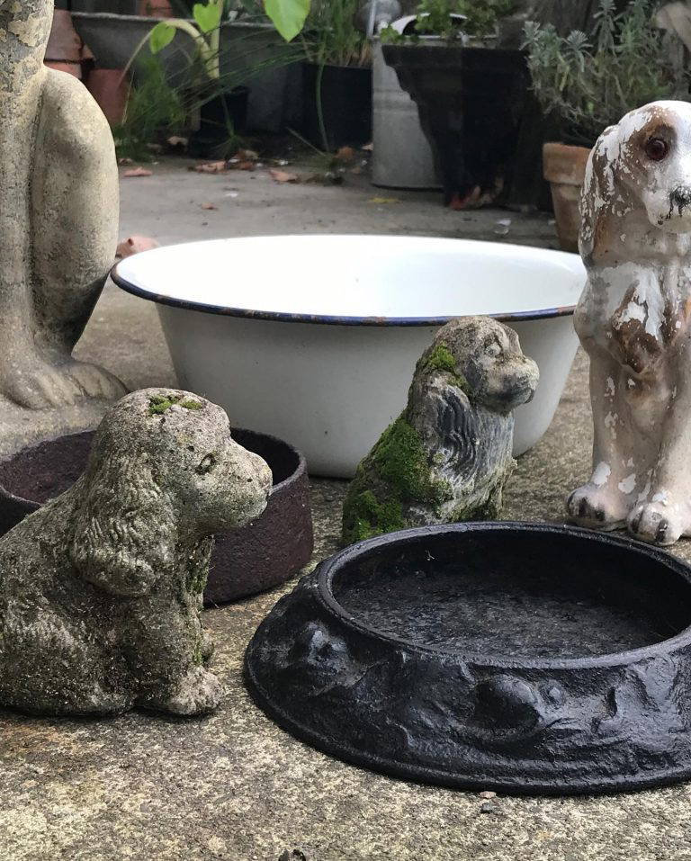 350466734 646294510206973 1425308919120944309 n 768x957