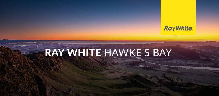 298981426 427578149390293 262257519094826873 n 768x339