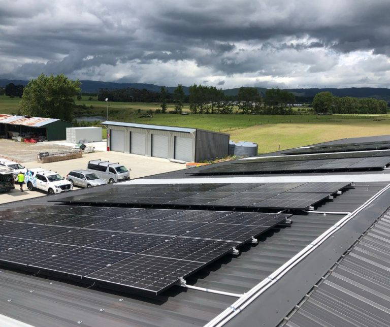 316261040 584096327056540 7654267991330056345 n 768x644