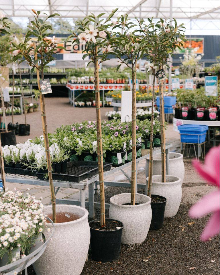 383202721 808475244613702 3176955150839431312 n 768x960