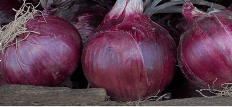 Screenshot 2023 10 08 182124 768x354