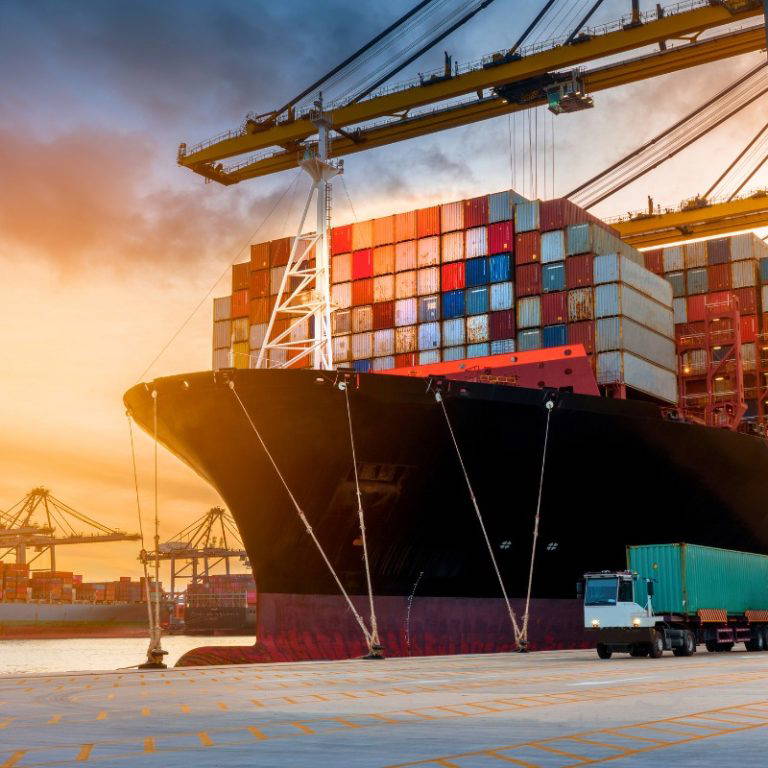 447179381 1533872600659012 5980109256184724959 n 768x768