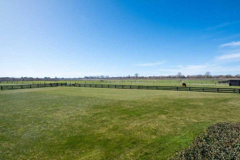 Large lawn Lawn Road Retreat 768x512