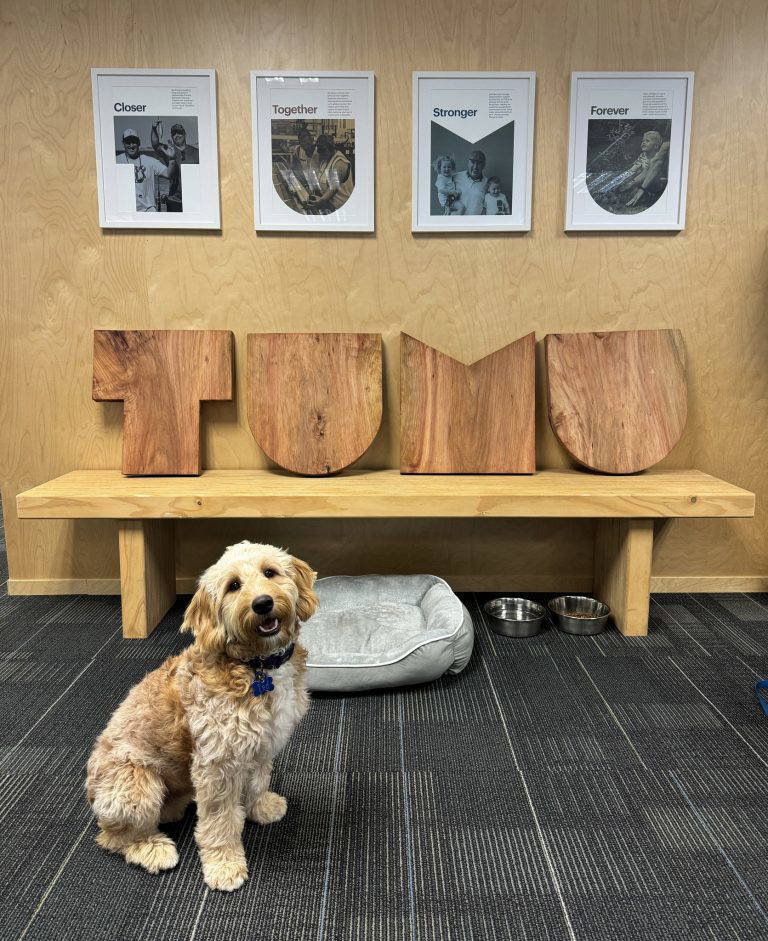 487181839 966680955670070 81105354663329933 n 768x941