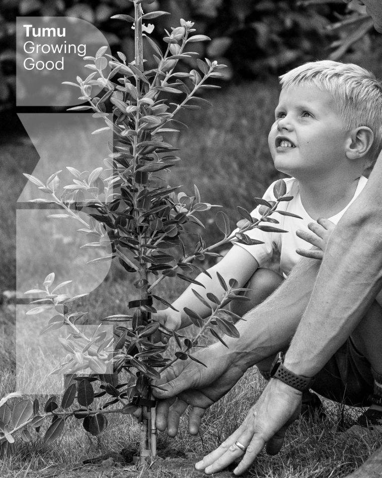 487390144 969803385357827 683412606881654307 n 768x960