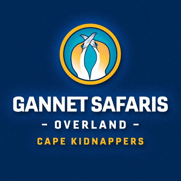 326512514 1614695758981755 8596998961910336232 n