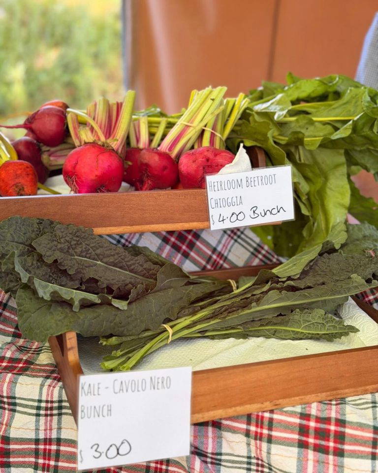 588365879 18544507555026590 1877511333816390399 n 768x960