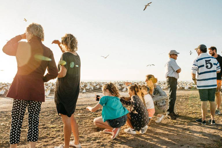 622356949 1224745386461707 2209867391456527973 n 768x513