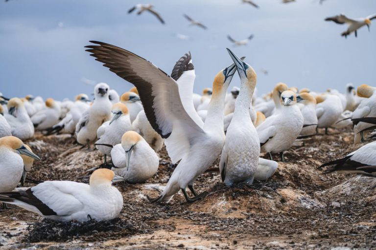 622581013 1224748976461348 4606670209720136839 n 768x512