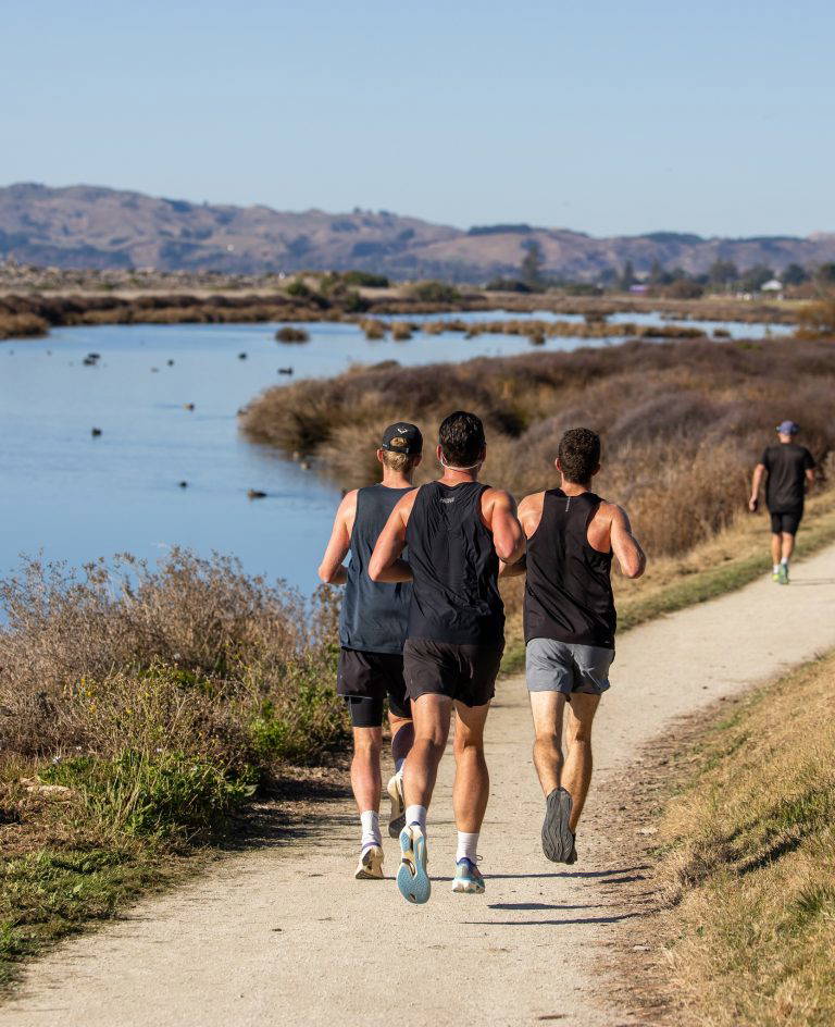 629235797 1382147010618901 7713659096979972809 n 768x944